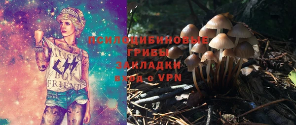 дживик Киров