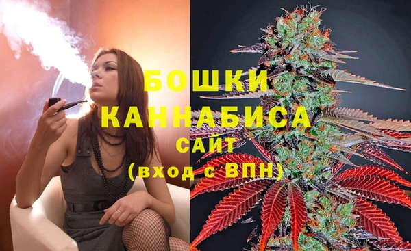 дживик Киров