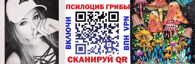 как найти   kraken ТОР  Галлюциногенные грибы Psilocybine cubensis  Белореченск 